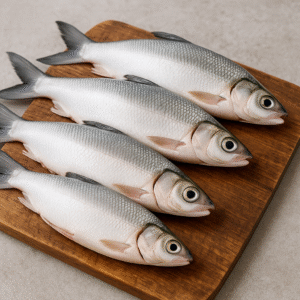 Bangus (Milkfish)