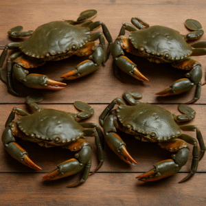 Alimango (Mud Crab)