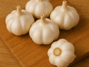 Garlic