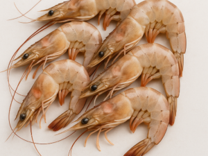 Hipon (Sugpo Prawns)