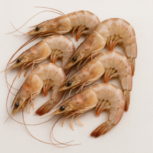 Hipon (Sugpo Prawns)