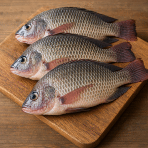 Tilapia