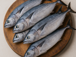 Tulingan (Skipjack Tuna)